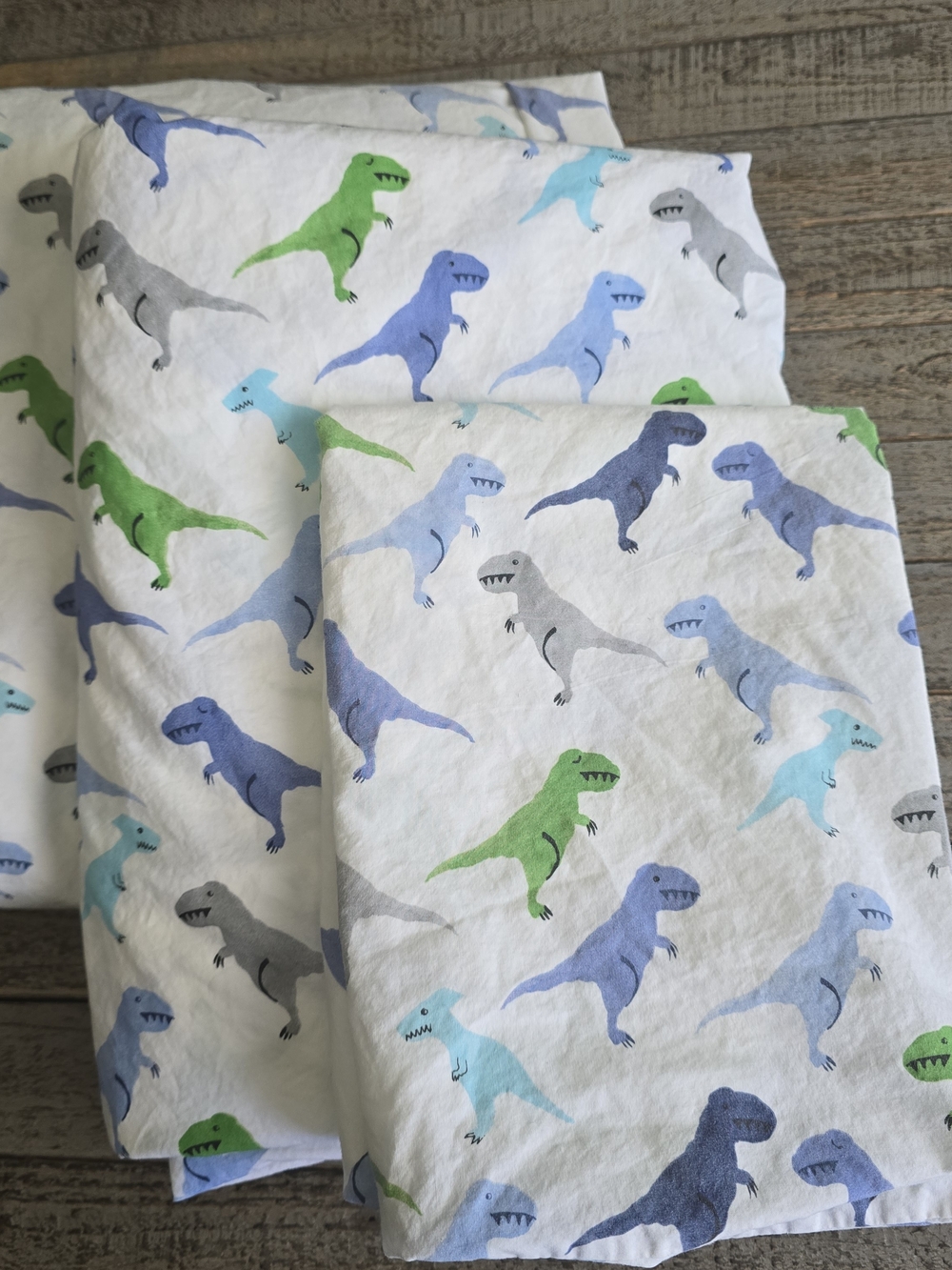 Pottery Barn Kids White 3 Piece Twin Set with Blue, Green, Gray Dinosaurs